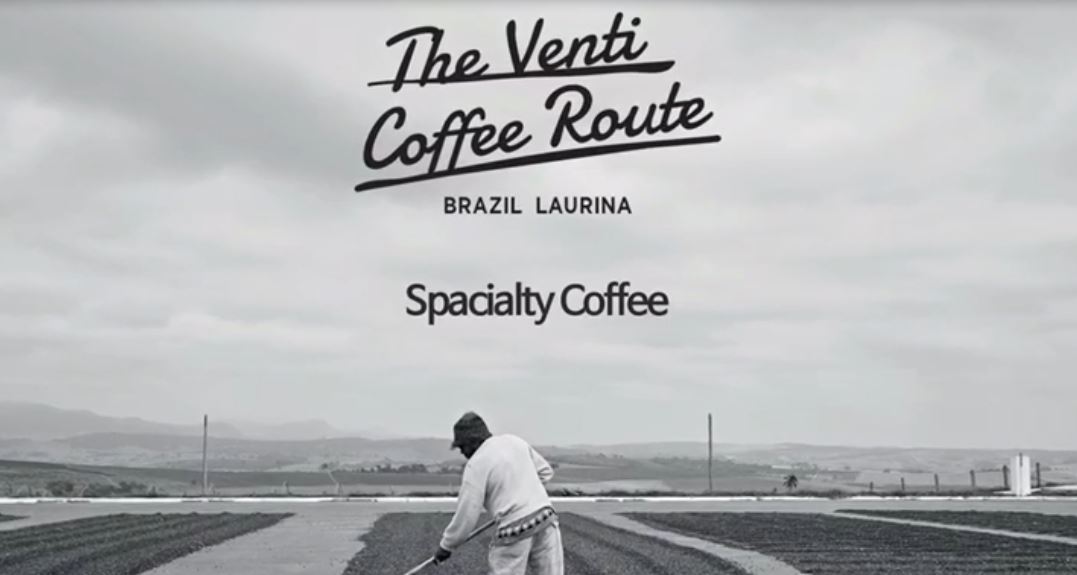 THE VENTI COFFEE